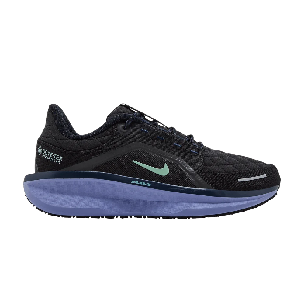 Кроссовки Nike Winflo 11 GORE-TEX 'Black/World Indigo/Obsidian/Cannon'