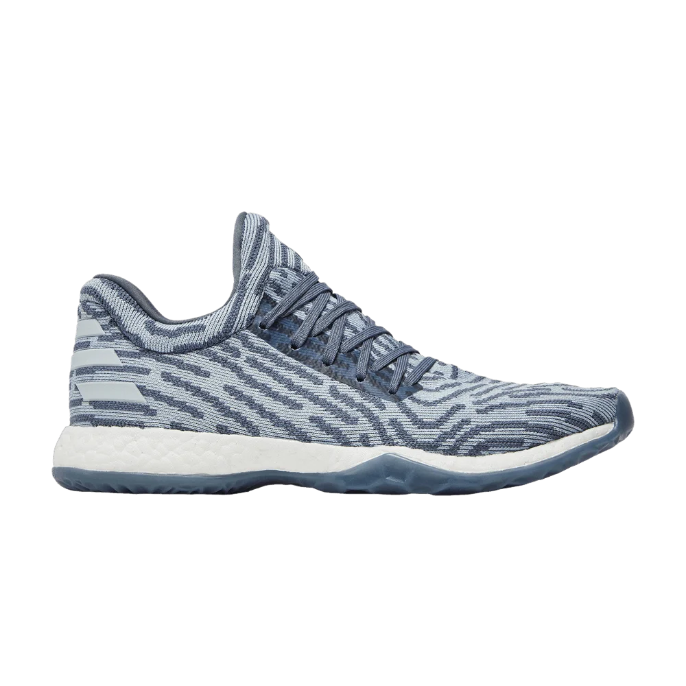 Кроссовки adidas Harden Vol. 1 LS Primeknit 'Raw Steel'