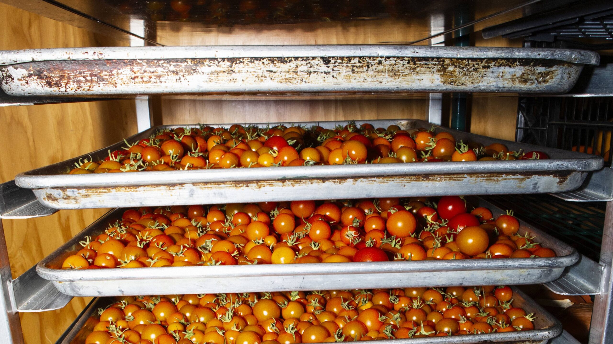 Джон Шук и Винни Дотолло. История их успеха в ресторанном бизнесе