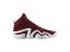 Collegiate Burgundy/Collegiate Burgundy/Footwear White