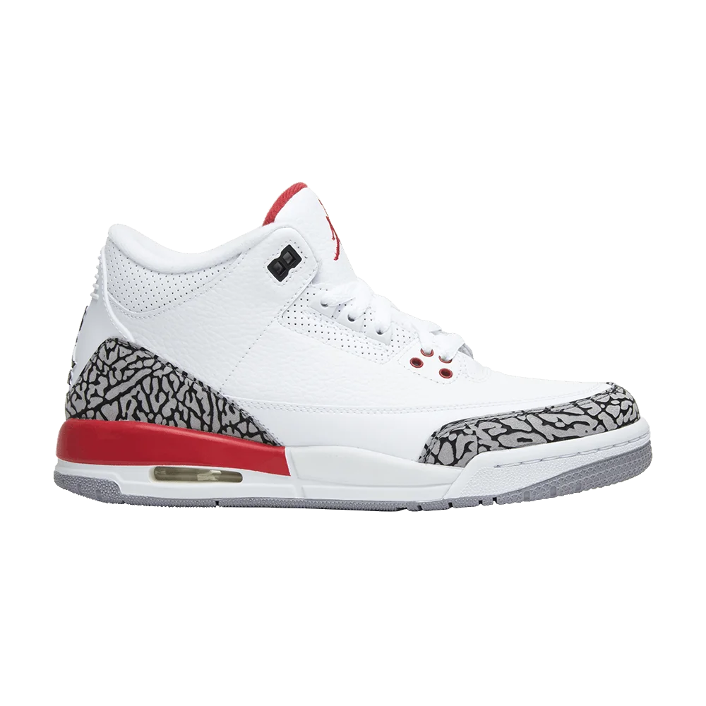 Кроссовки Air Jordan 3 Retro GS 'Hall of Fame'