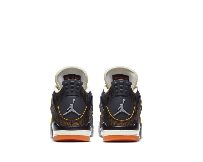 Кроссовки Wmns Air Jordan 4 Retro Starfish