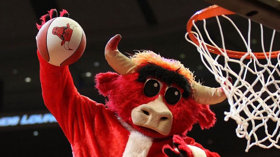 Zabavnye talismany komand NBA Chicago Bulls i Benny The Bull
