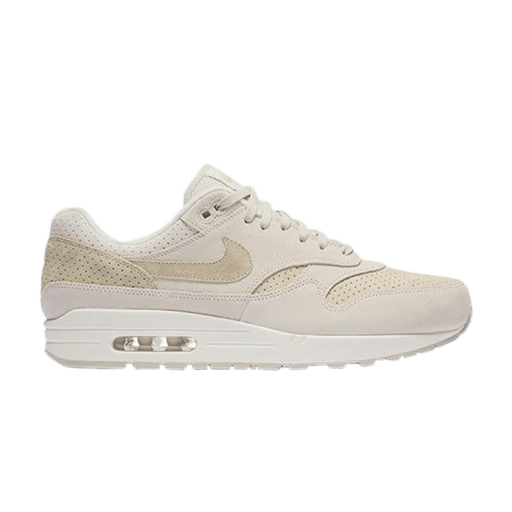 Кроссовки Nike Air Max 1 Premium 'Desert Sand'