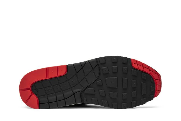 Кроссовки Nike Air Max 1 Premium 'Bred'