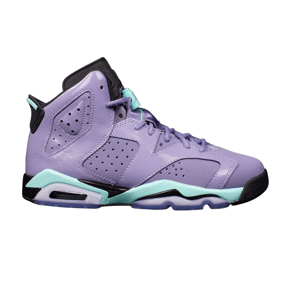 Кроссовки Air Jordan 6 Retro GG 'Iron Purple'