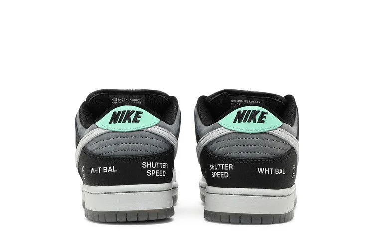 Кроссовки Nike Dunk Low SB 'Camcorder'
