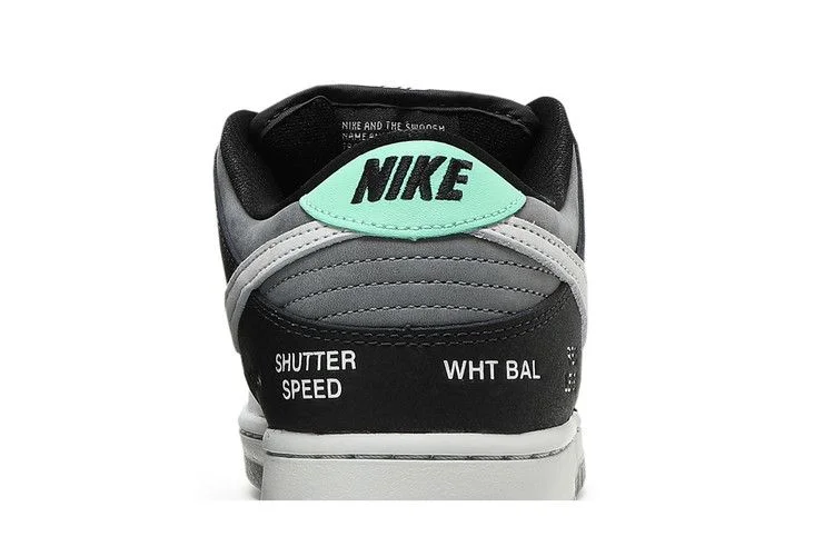 Кроссовки Nike Dunk Low SB 'Camcorder'