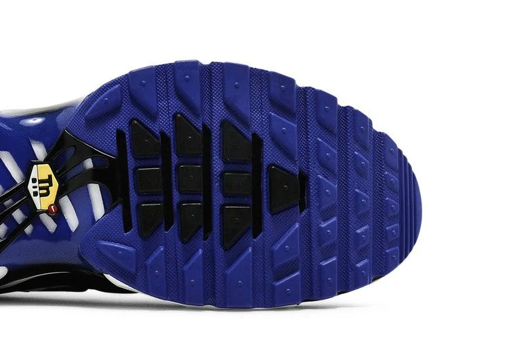 Кроссовки Nike Air Max Plus 'Persian Violet'