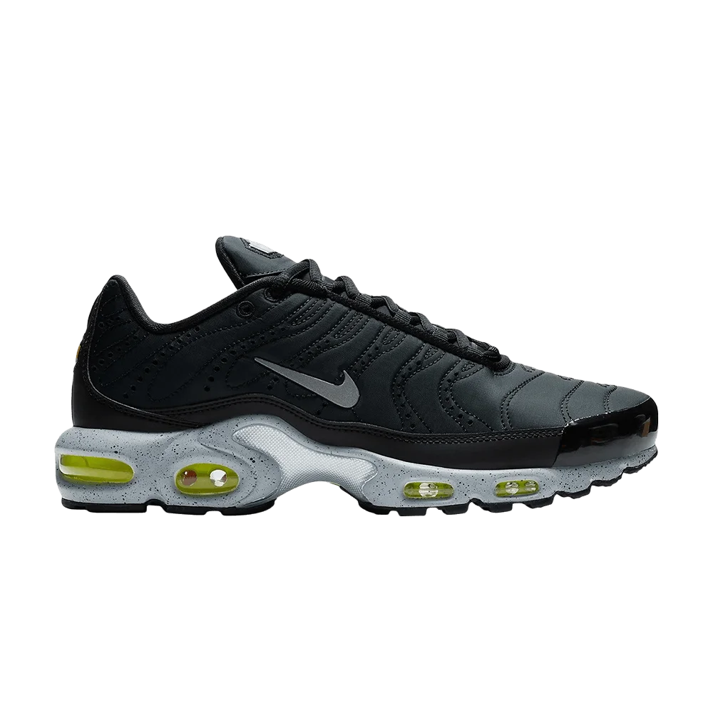 Кроссовки Nike Air Max Plus Premium 'Matte Silver'