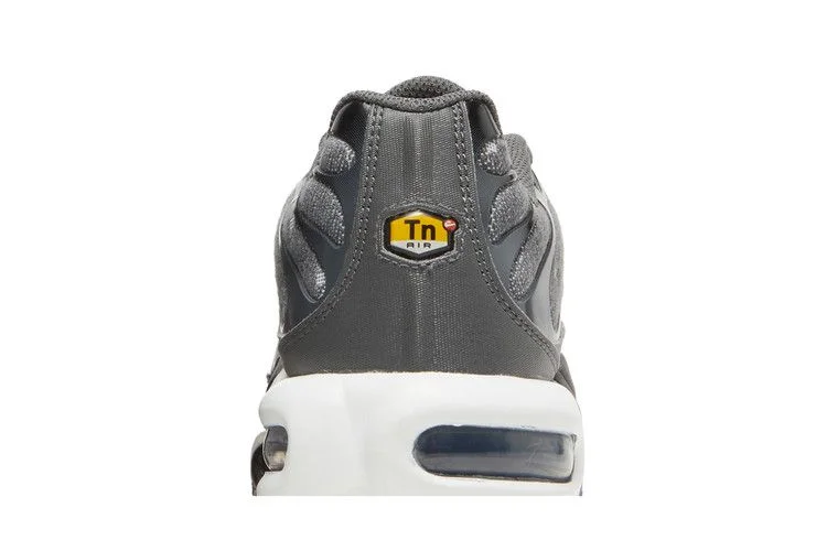 Кроссовки Nike Air Max Plus SE 'Iron Grey Metallic Gold'