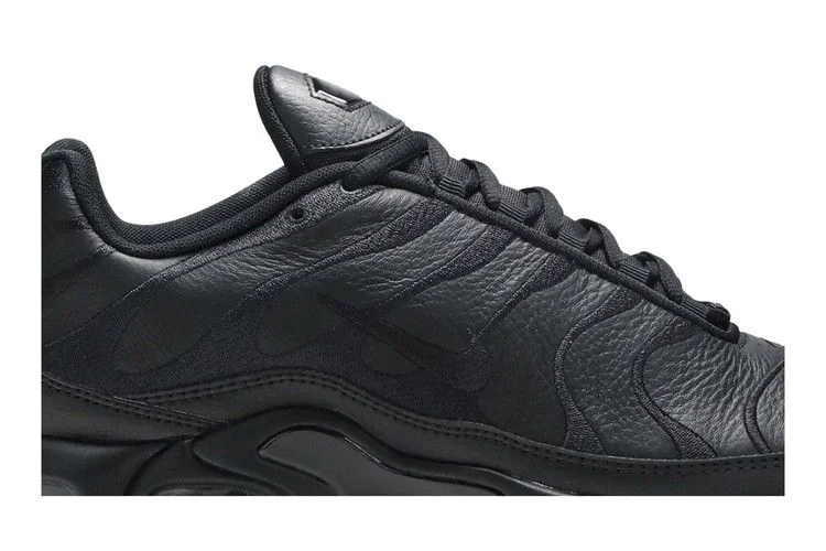 Кроссовки Nike Air Max Plus TN 'Triple Black'