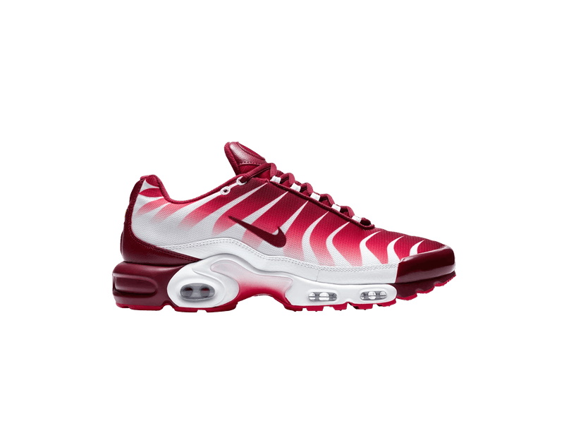 Nike Air Max Plus After the Bite