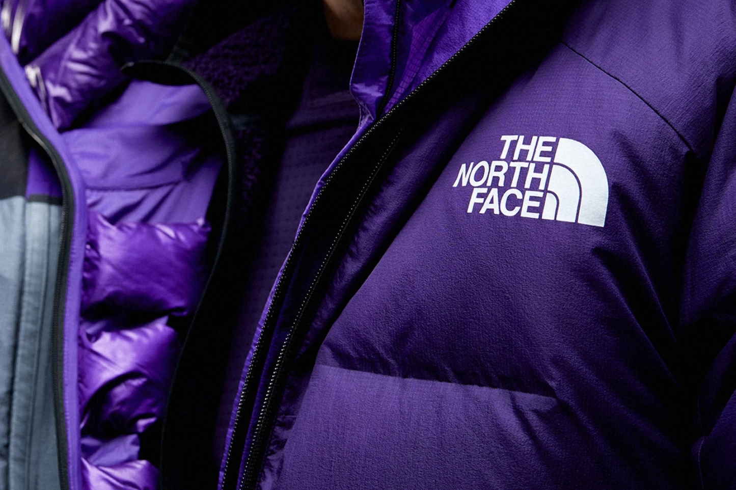 Vot pochemu brend The North Face tak populyaren 6