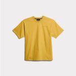 Bold Gold