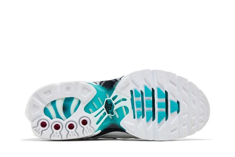 Кроссовки Nike Air Max Plus BG 'Dusty Cactus'