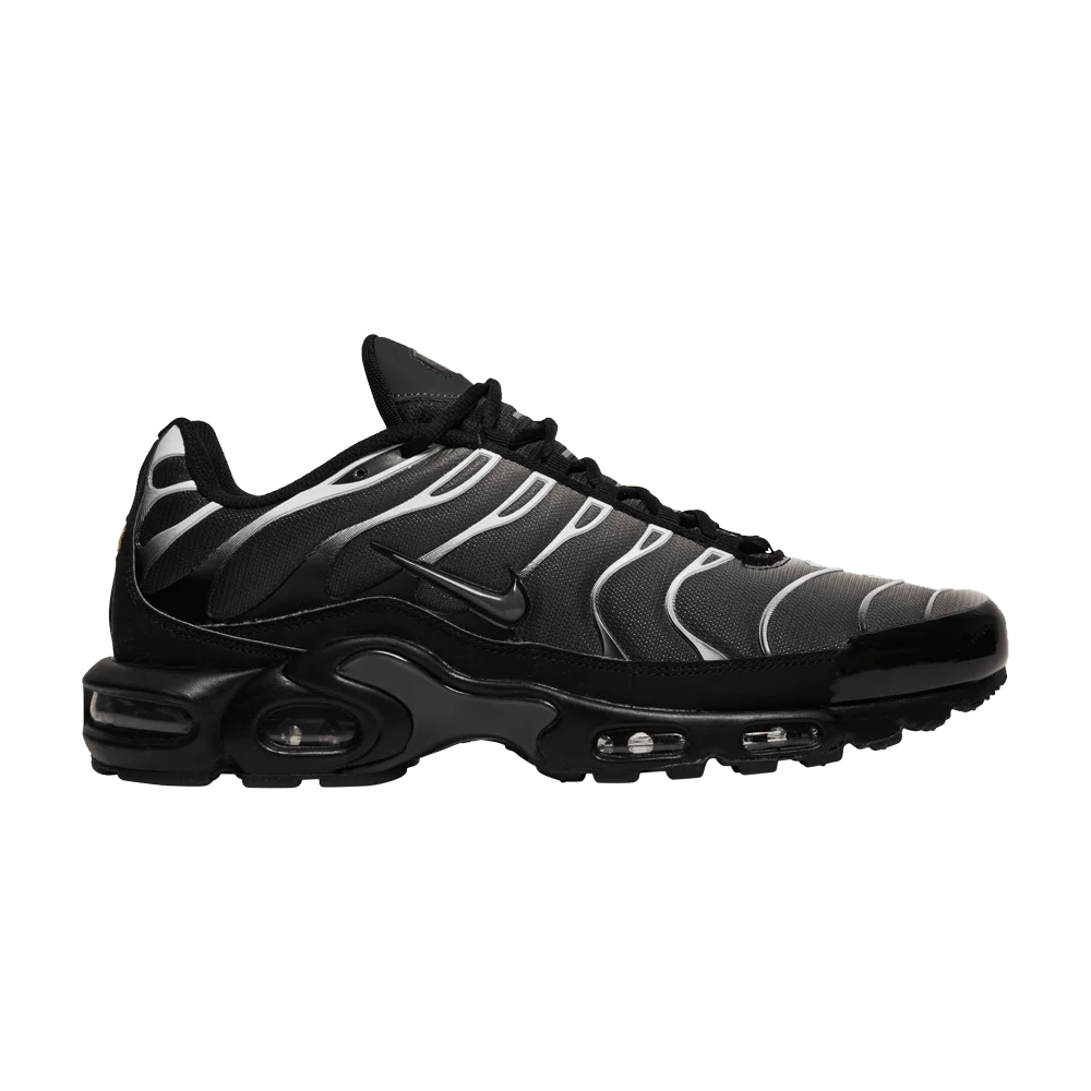 Кроссовки Nike Air Max Plus 'Black Anthracite'