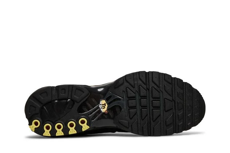 Кроссовки Nike Air Max Plus 'Black Anthracite'