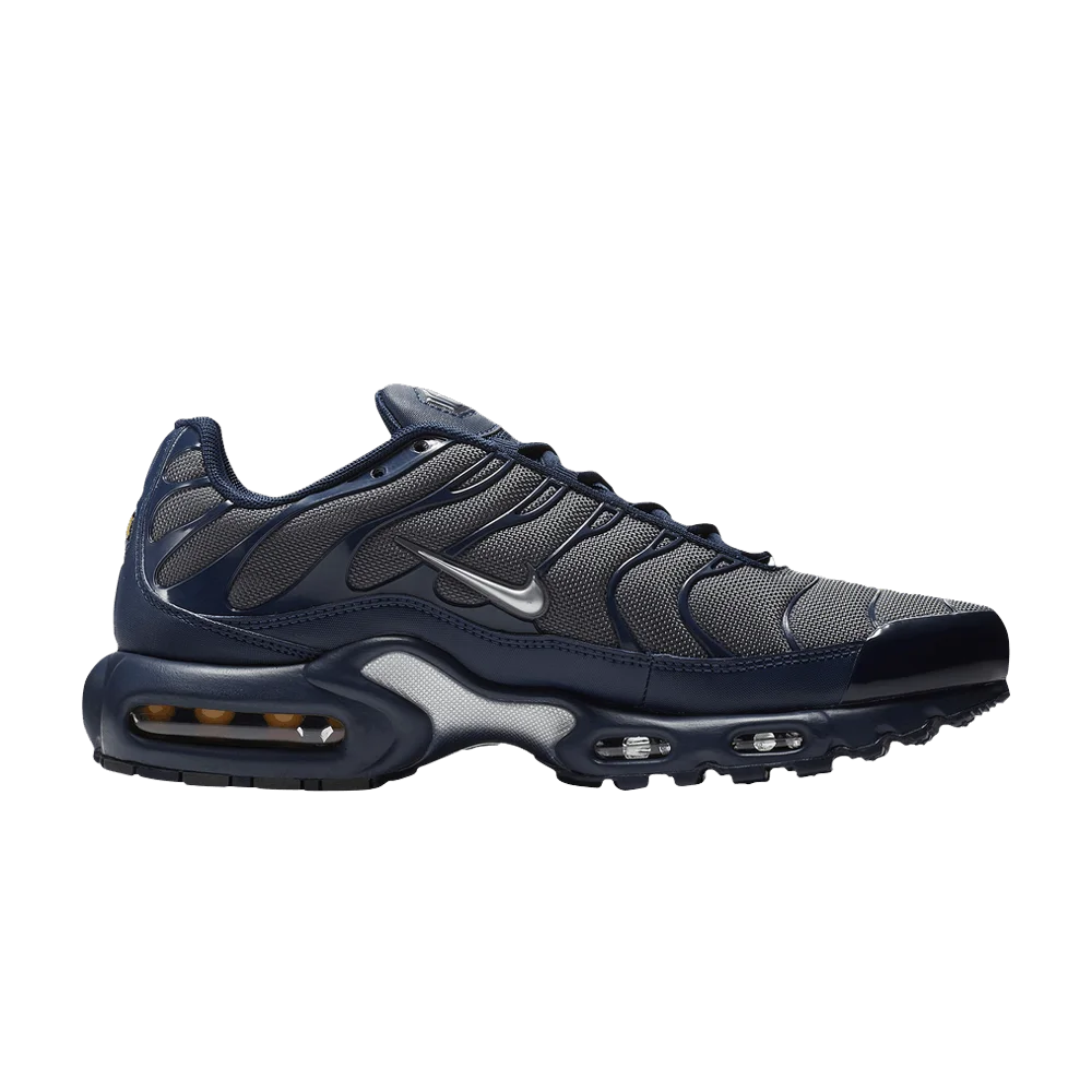 Кроссовки Nike Air Max Plus 'Dark Grey Navy'