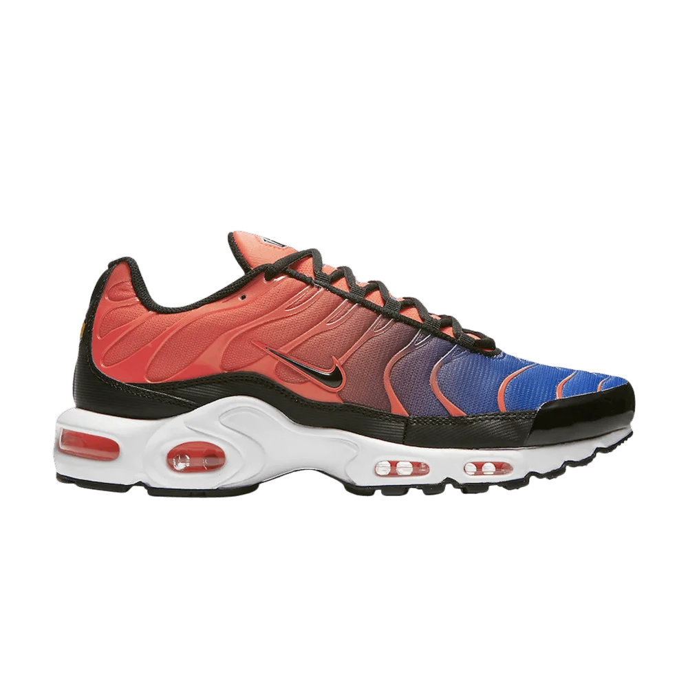 Кроссовки Nike Air Max Plus 'Gradient'