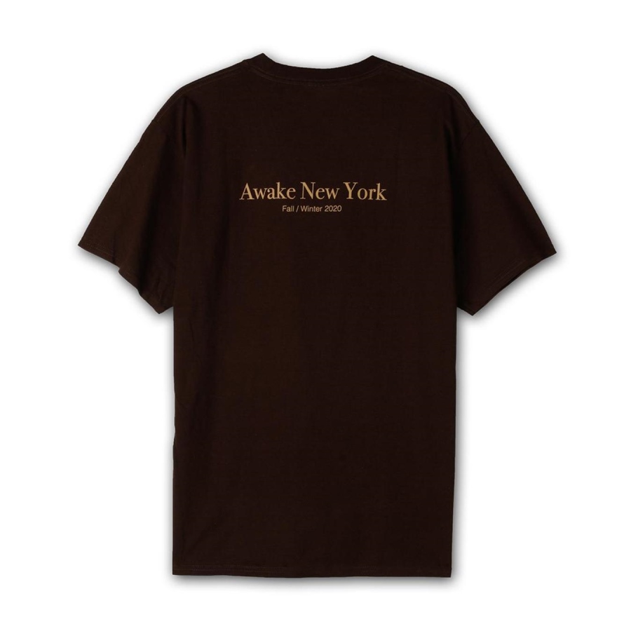 Футболка Awake Classic Outline Logo T-shirt Brown