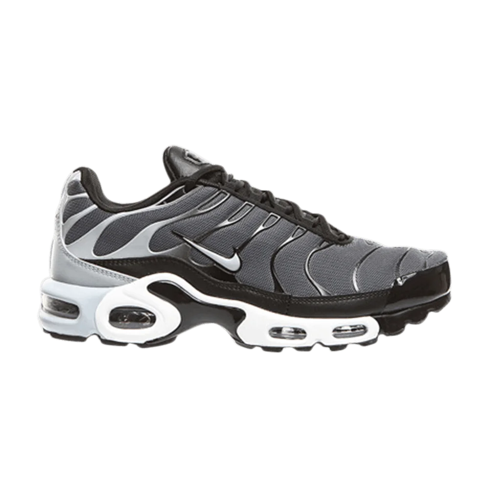 Кроссовки Nike Air Max Plus 'Dark Grey'