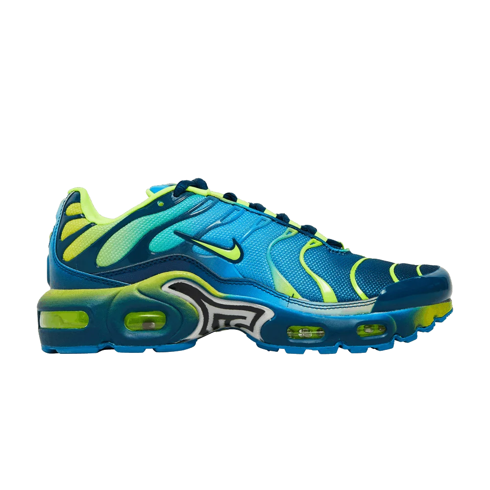 Кроссовки Nike Air Max Plus GS 'Blue Force'