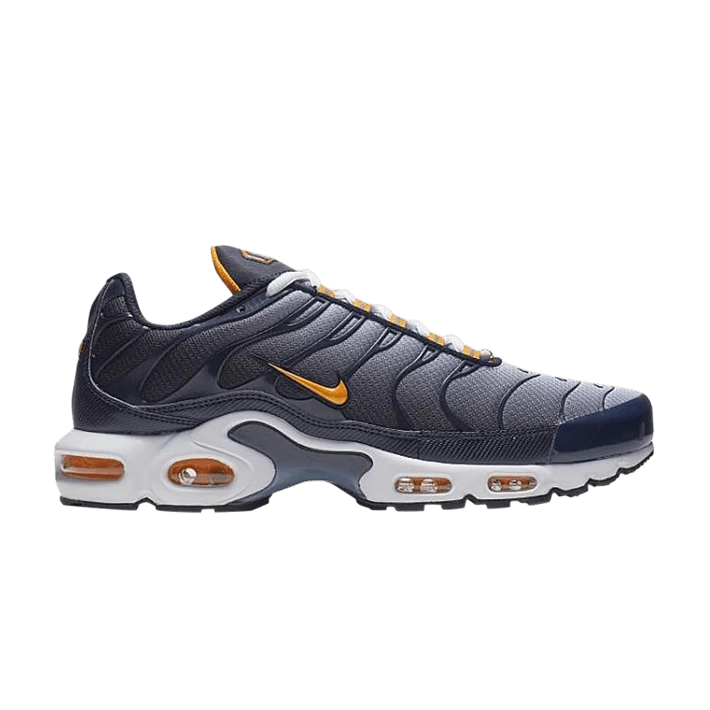 Кроссовки Nike Air Max Plus 'Navy Mist'