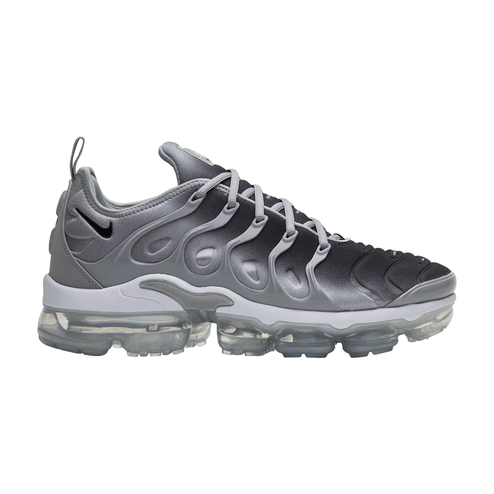 Кроссовки Nike Air VaporMax Plus 'Silver Gradient'