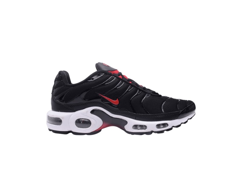 Nike Air Max Plus Gym Red Antracite