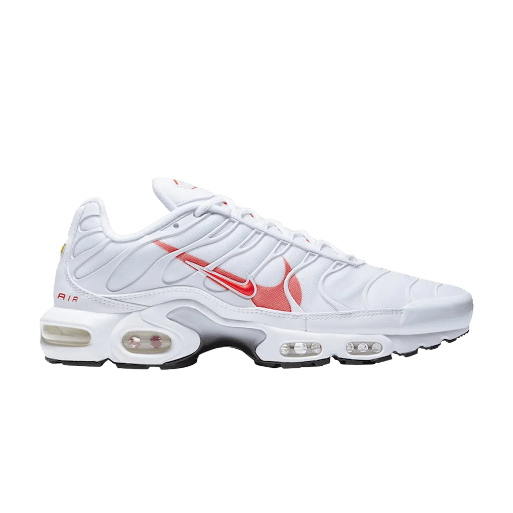 Кроссовки Nike Air Max Plus 'Double Swoosh'