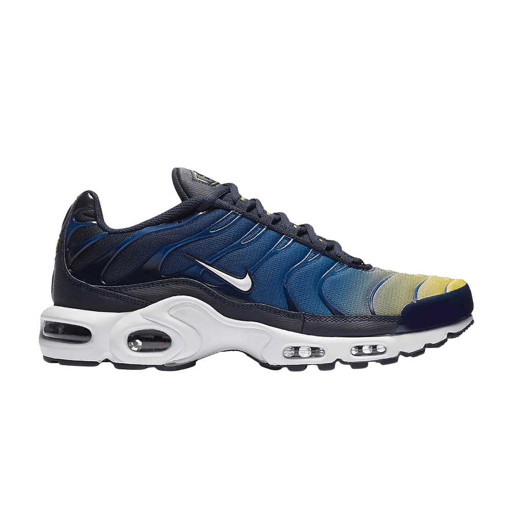Кроссовки Nike Air Max Plus 'Gradient Pack'