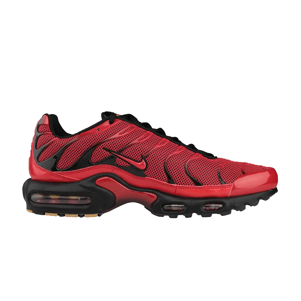 Кроссовки Nike Air Max Plus TN