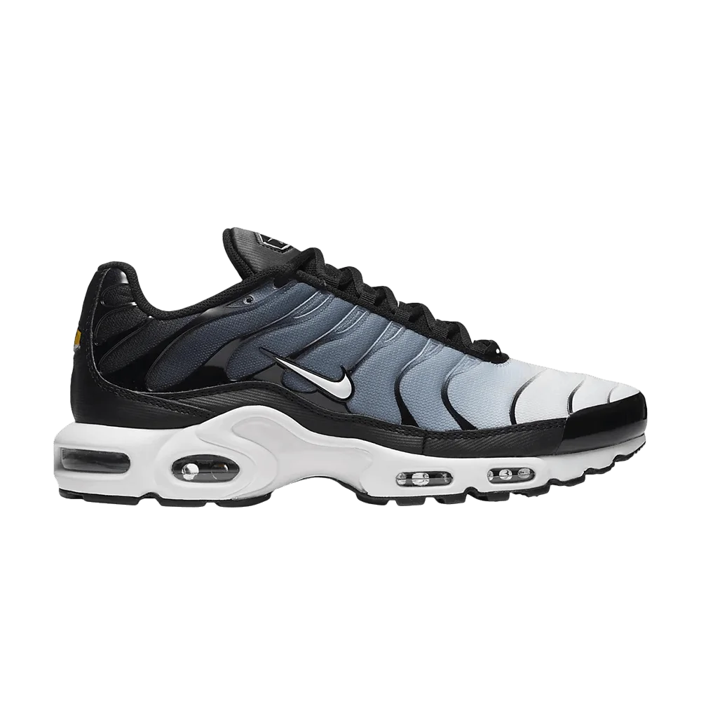 Кроссовки Nike Air Max Plus 'Black'