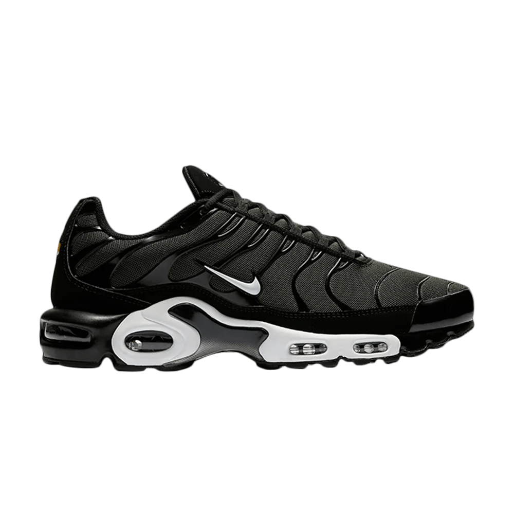 Кроссовки Nike Air Max Plus 'Black Sequoia'