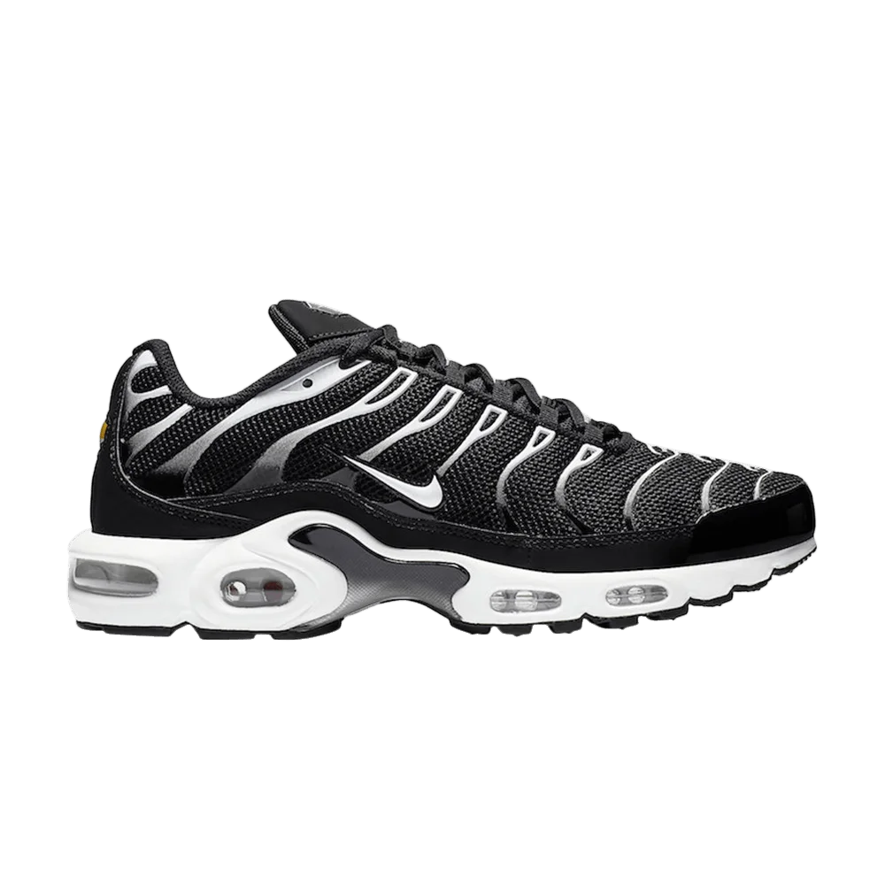 Кроссовки Nike Air Max Plus 'Black Silver'
