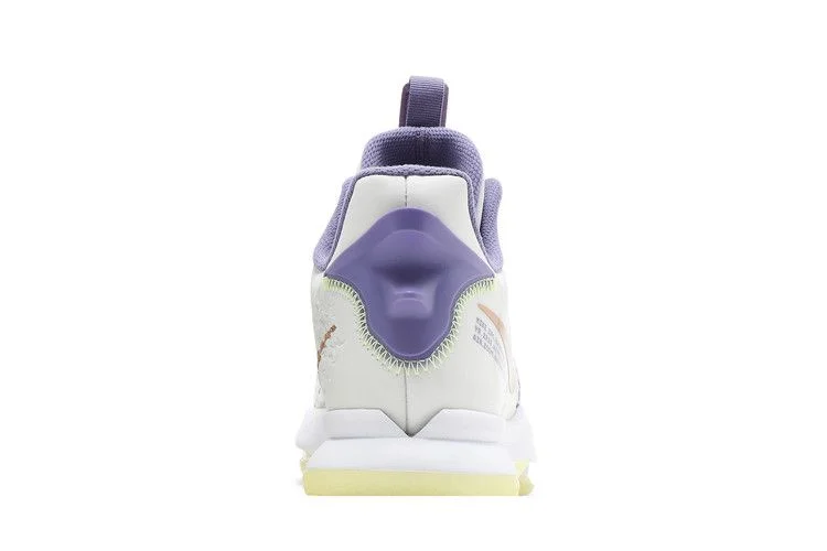Кроссовки Nike LeBron Witness 5 'Summit White Metallic Bronze'