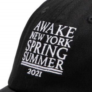 Awake NY 6 Panel Hat Black 1