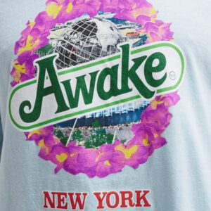 Awake Strawberry Kiwi T shirt Glacier 1
