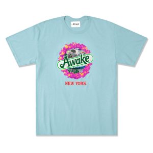 Awake Strawberry Kiwi T shirt Glacier