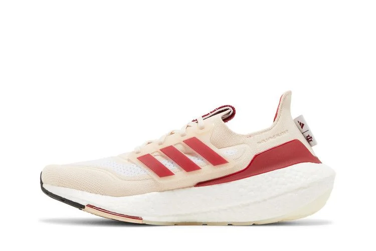 Кроссовки Adidas UltraBoost 21 'NCAA Pack - Indiana'
