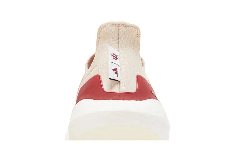 Кроссовки Adidas UltraBoost 21 'NCAA Pack - Indiana'