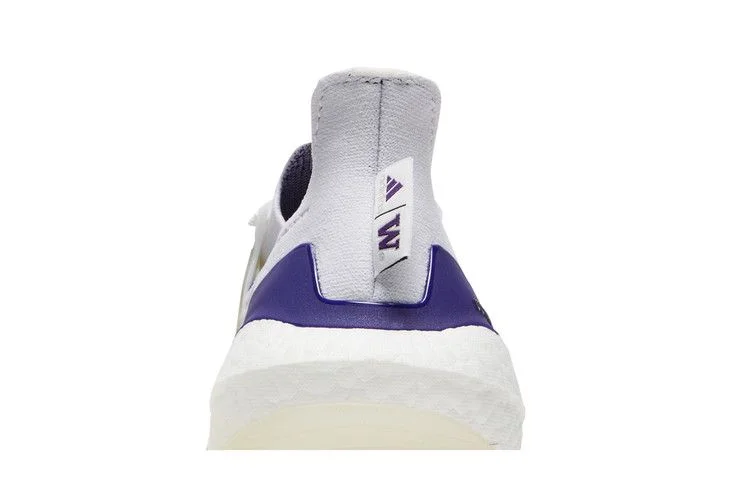 Кроссовки adidas UltraBoost 21 'NCAA Pack - Washington'