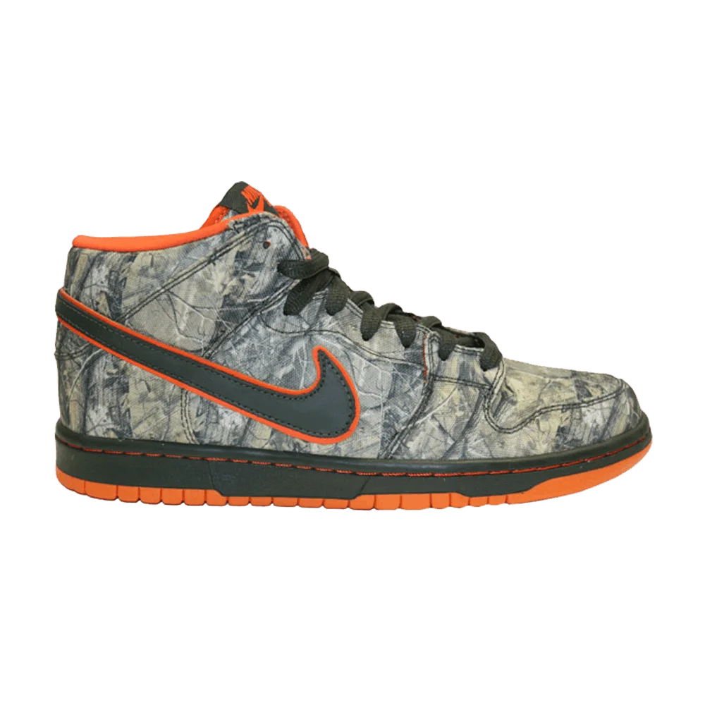Кроссовки Nike Dunk Mid Premium SB 'Real Tree Camo'