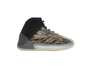 Amber Tint/Amber Tint/Amber Tint