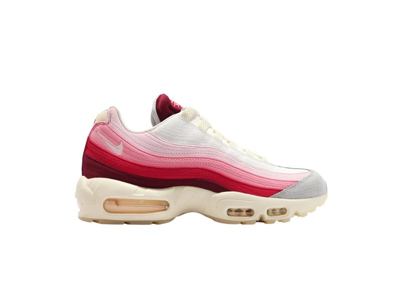 Nike Air Max 95 Anatomy Of Air DM0012 600