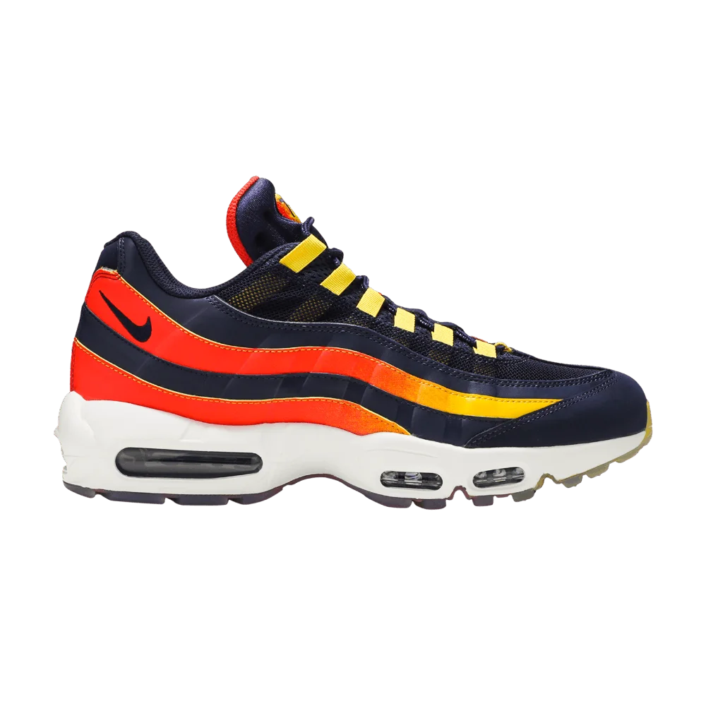 Кроссовки Nike Air Max 95 'Hoston Away'