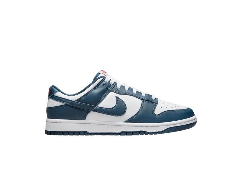 nike-dunk-low-valerian-blue