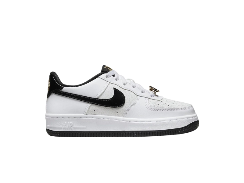 Nike Air Force 1 LV8 GS World Champ DQ0300 100