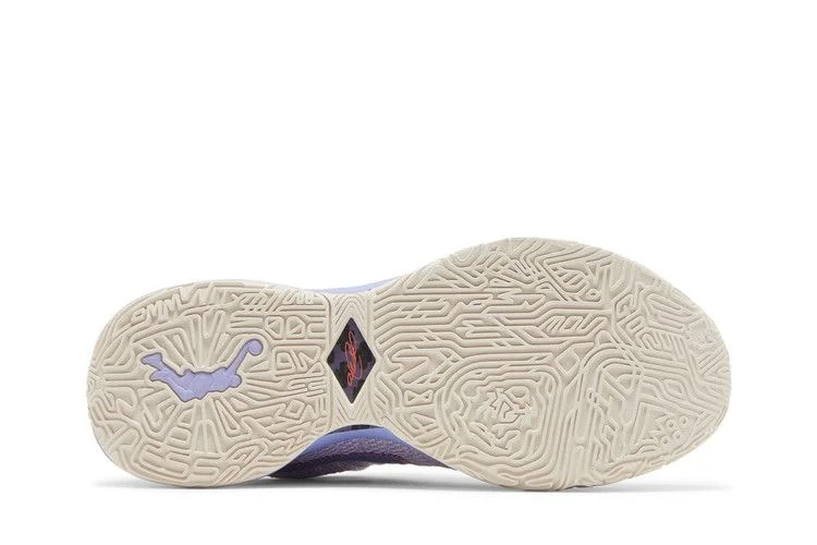 Кроссовки Nike LeBron 20 EP 'Purple And Gold'